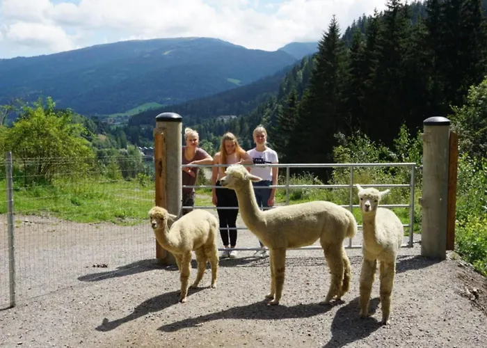 Vitalhof Am Kreischberg By Alps * Bodendorf