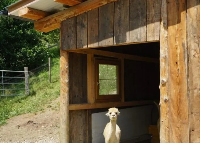 Apartman Vitalhof Am Kreischberg By Alps Bodendorf